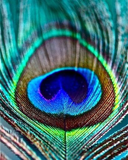 Roshan Jayesh Patel's obituary image