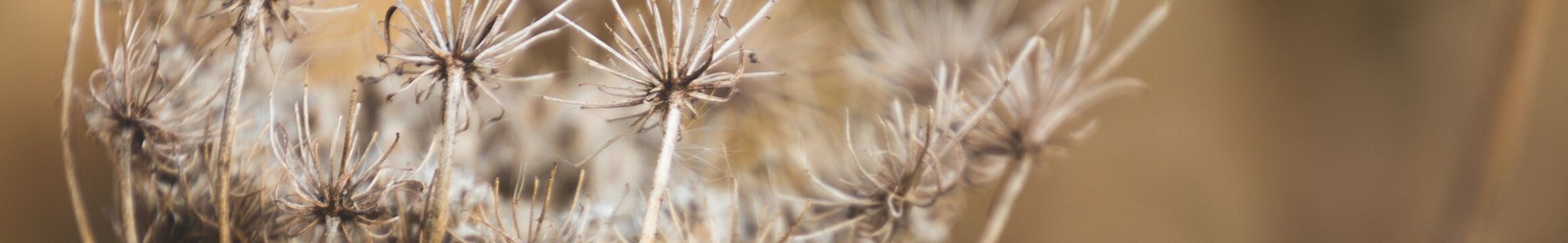 Cover for Alan Petrie Reid's Obituary