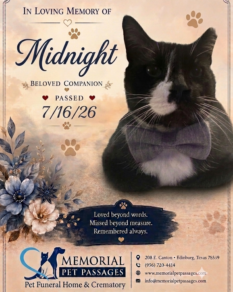 Midnight Profile Photo