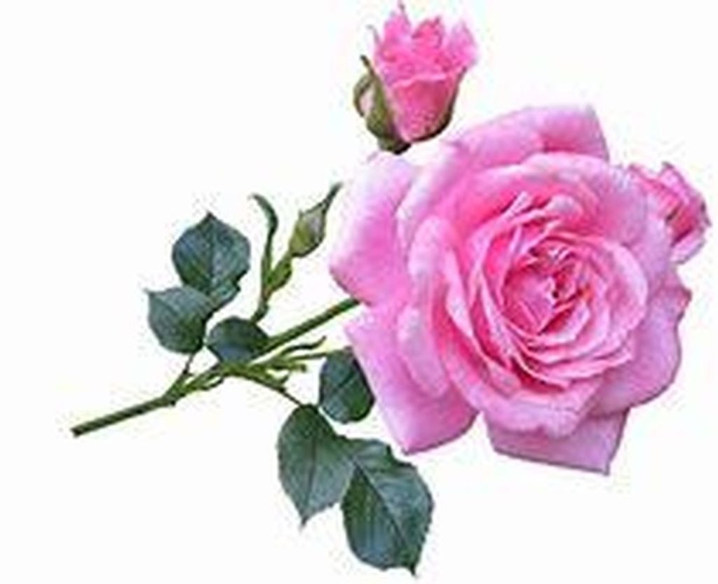 Delsie Newman Farmer