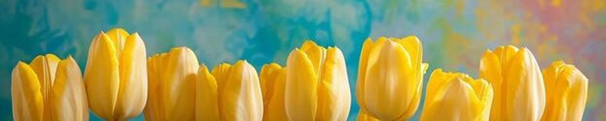 Cover for Joelle Bitoun Amedio's Obituary