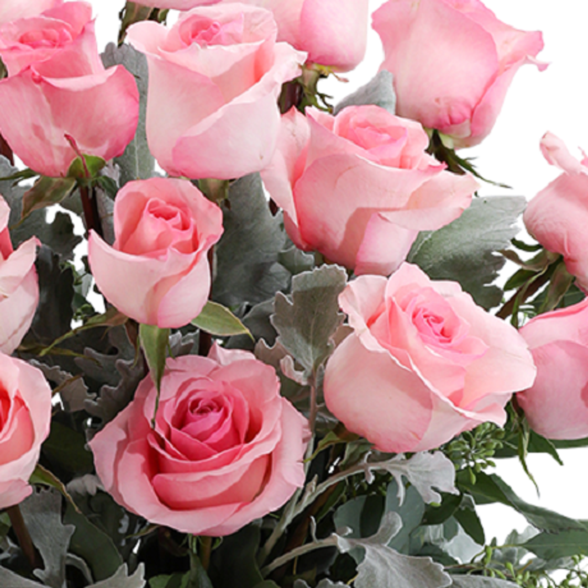 Cover for Rosemarie A. Houser's Obituary