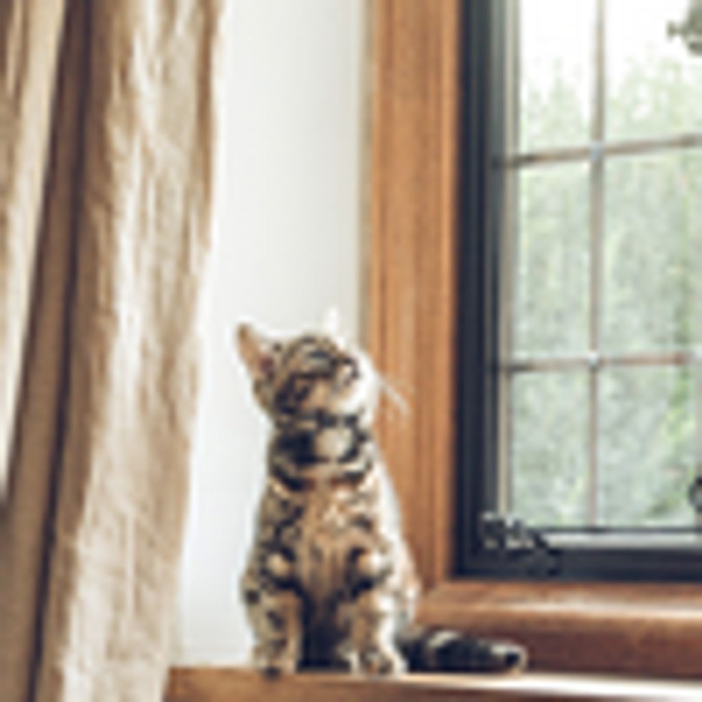 Linda Lou Crawford Profile Photo