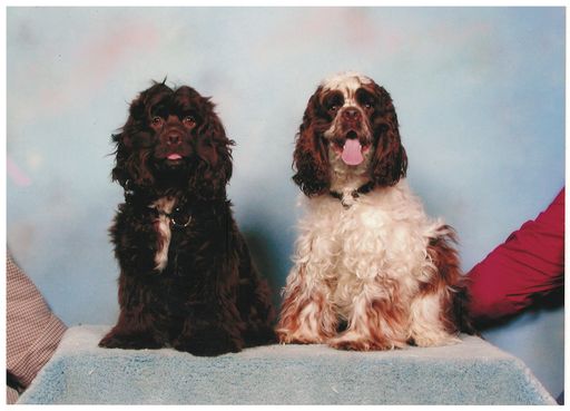 Gary L. Hall photo gallery thumbnail 245 of 354