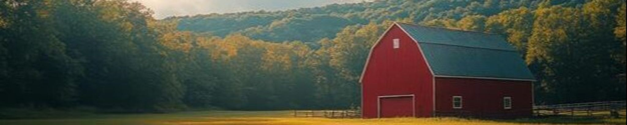 Cover for Lynda Hyberger's Obituary