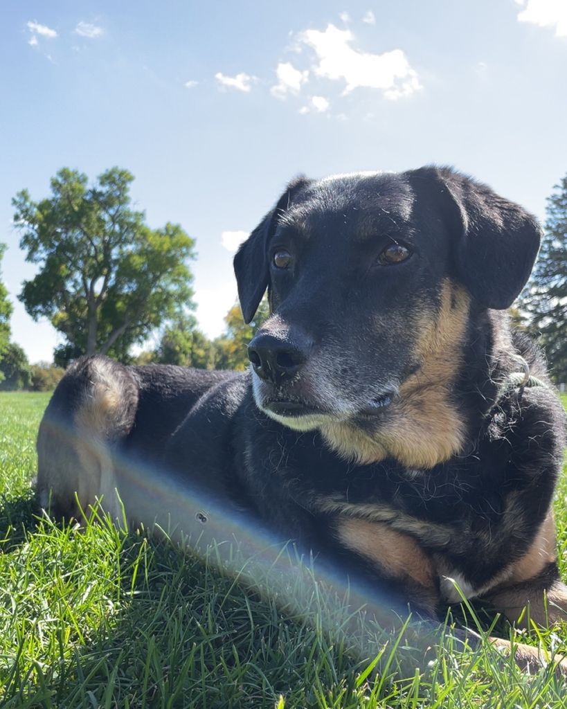 Rimmer Profile Photo