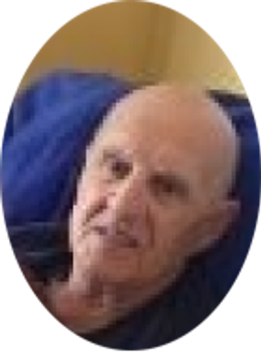 Armand Malara Profile Photo