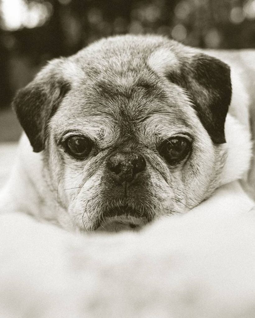 Buddy Mauldin Profile Photo