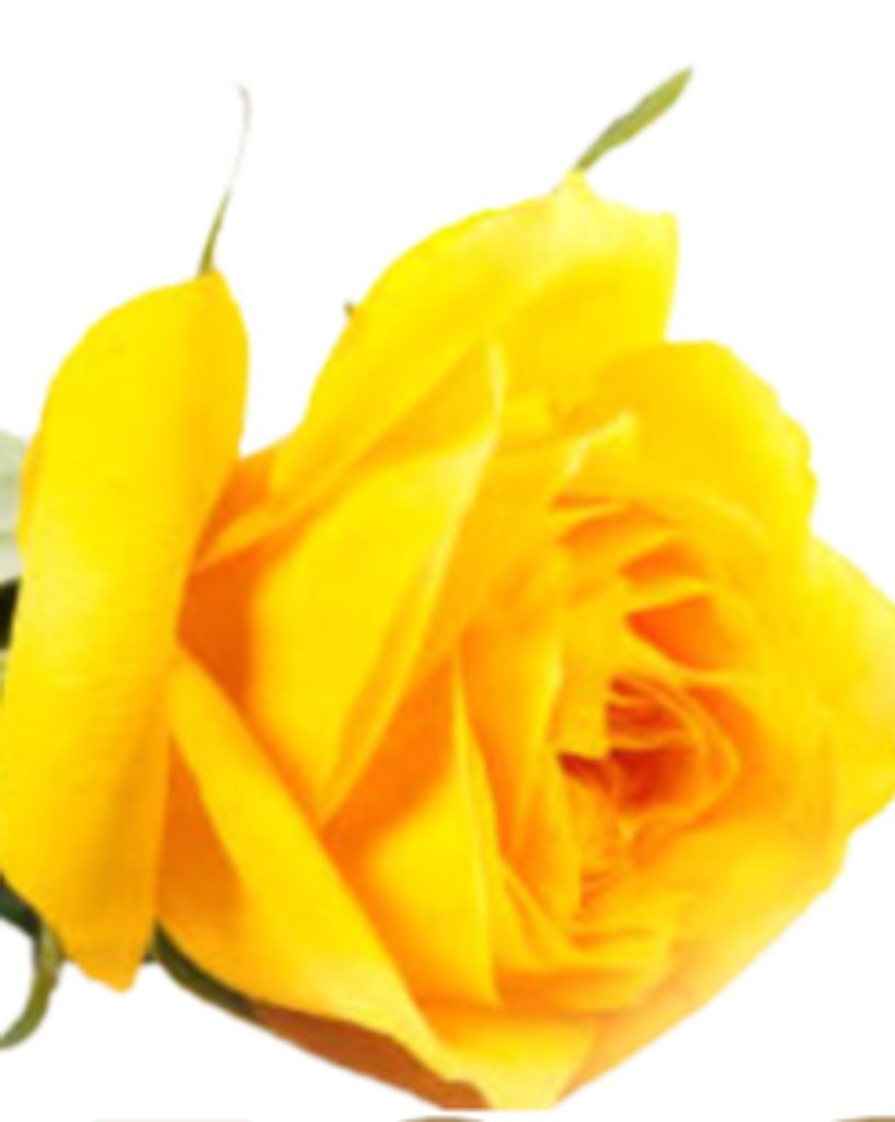 Ruby Harris Profile Photo