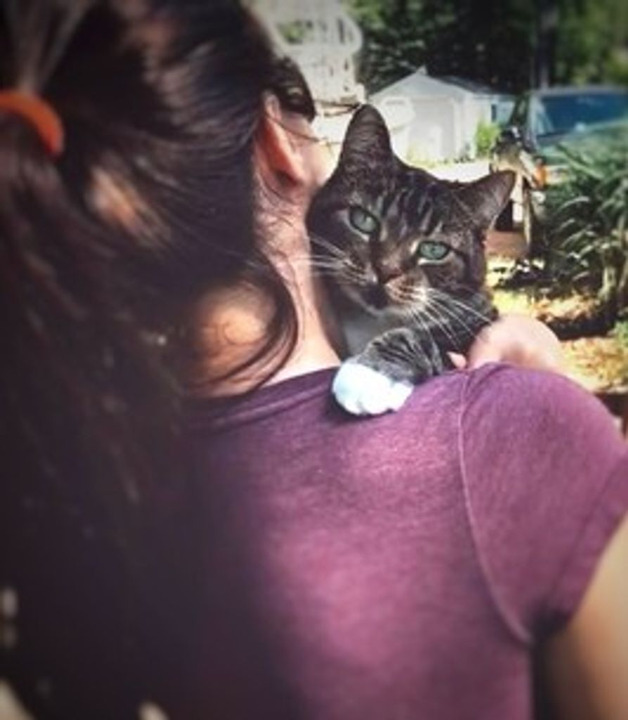 Turtle Coker Profile Photo