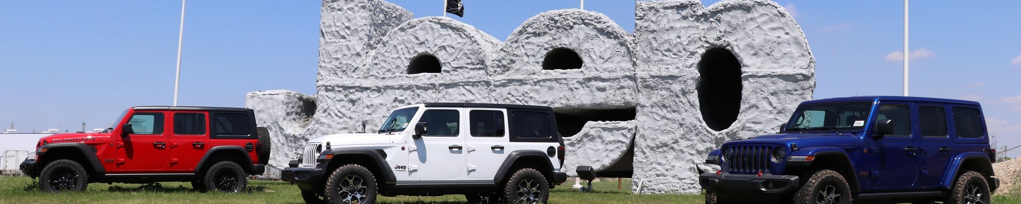 Cover for Donald Nieckarz's Obituary