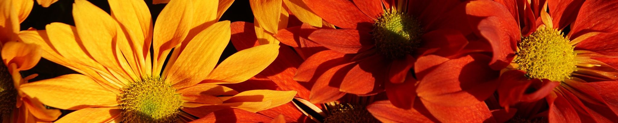 Cover photo for Glenda Tabor Yates's Obituary