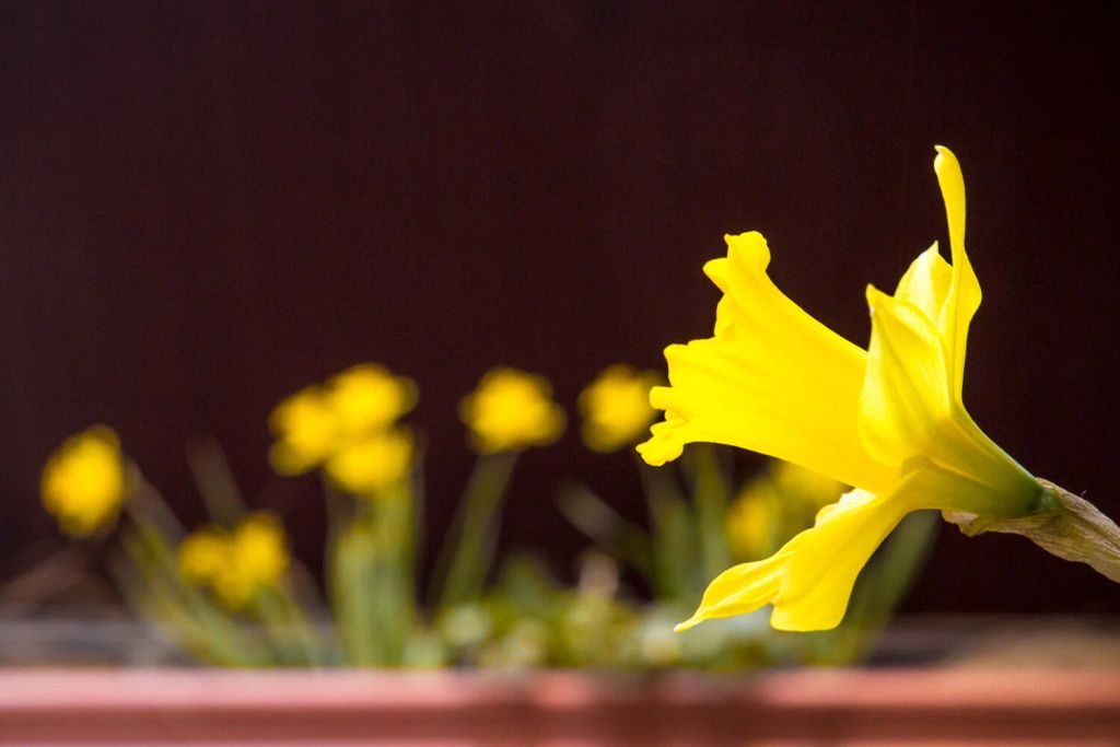 Mr. Daniel Nathaniel Robinson Profile Photo