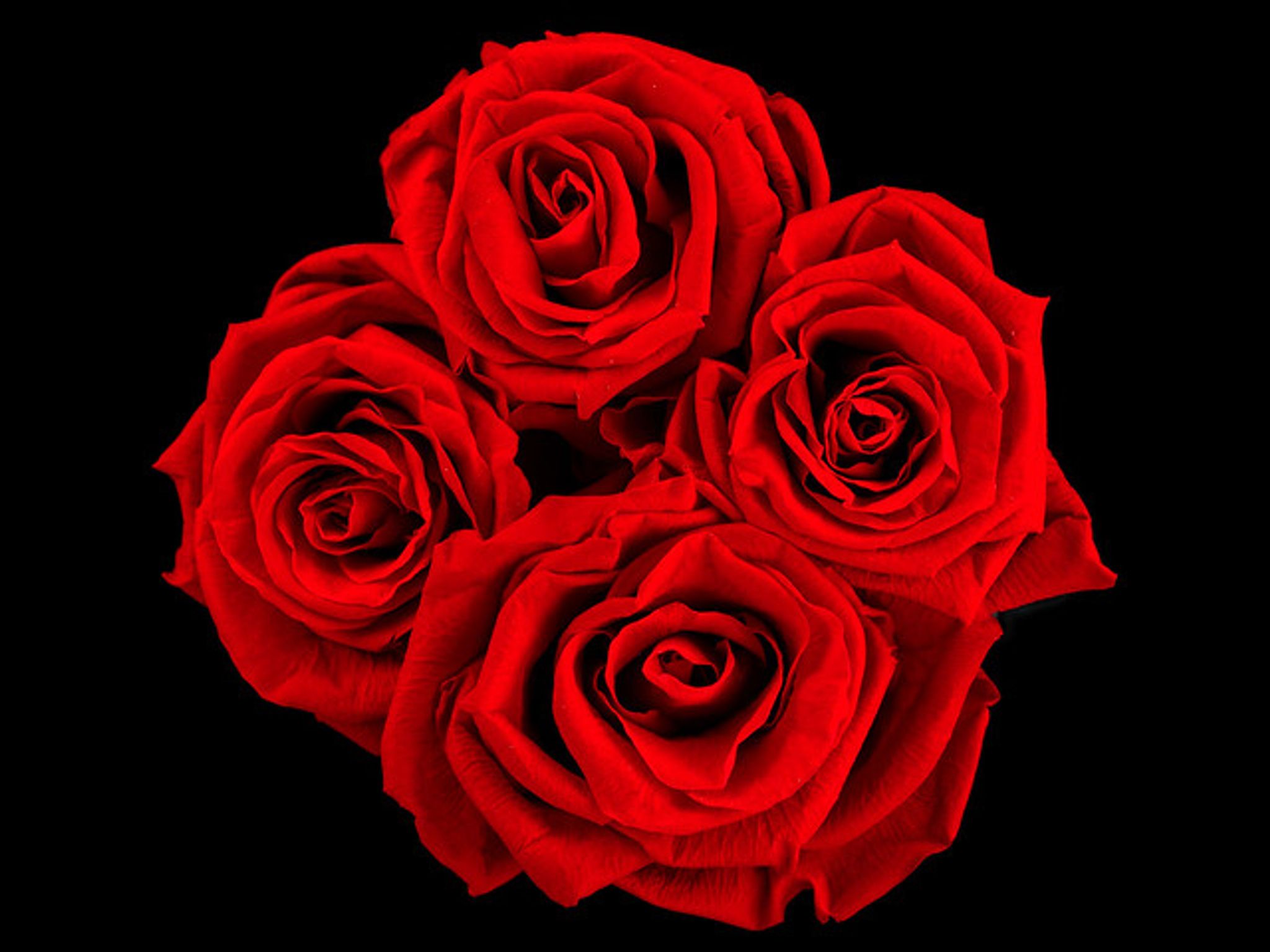 Cover photo for Sandra Greene's Obituary