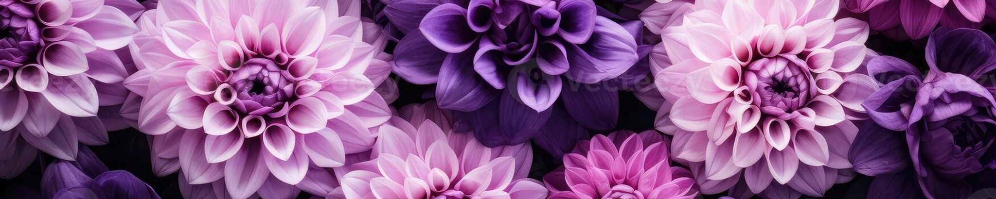 Cover for DaKysa Laynee Floyd's Obituary