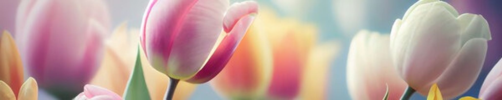 Cover photo for Louise Taylor's Obituary