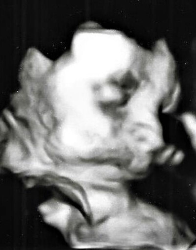 Van Jason Harry Herkimer Jr.