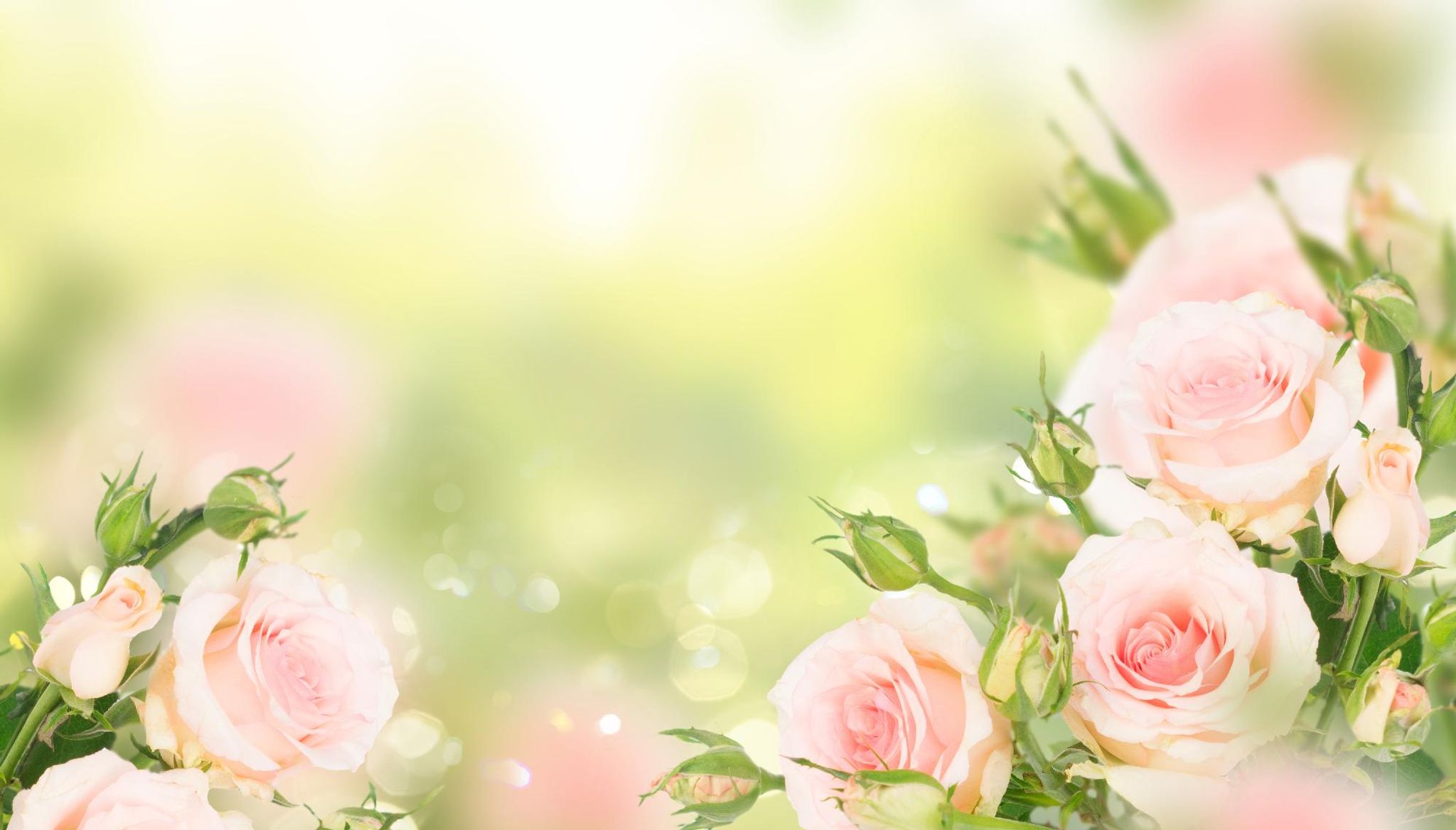 Cover for Tamara Barbara Strong's Obituary