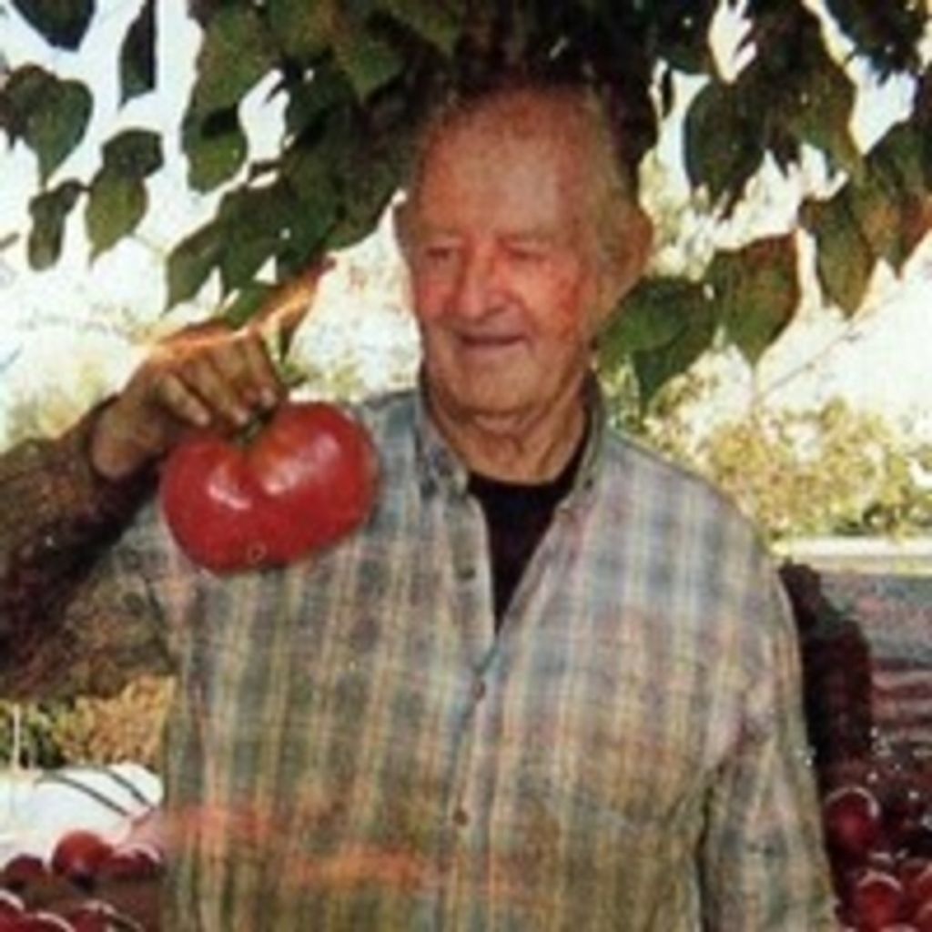 Jack D. Lorimer