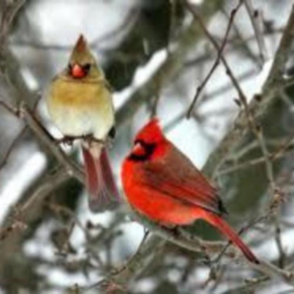 Klaus E. Blaetterlein