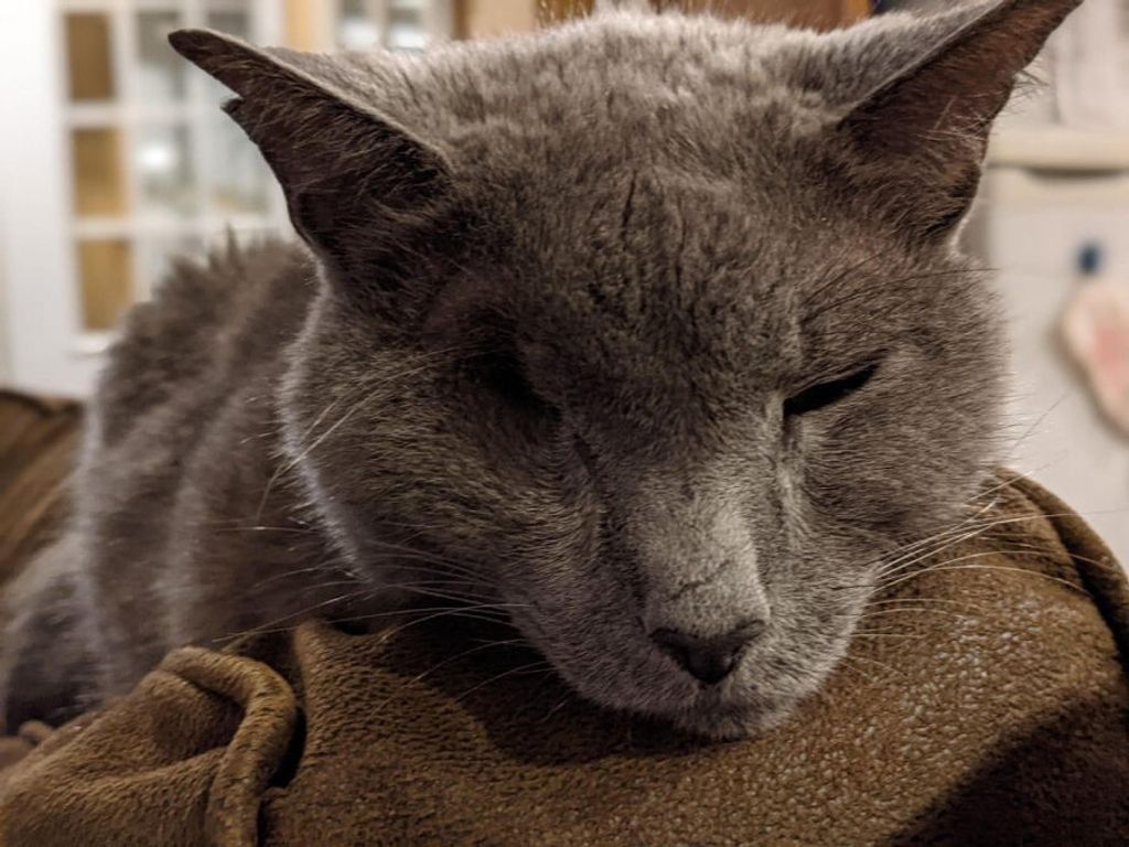 Silas Eckert Profile Photo