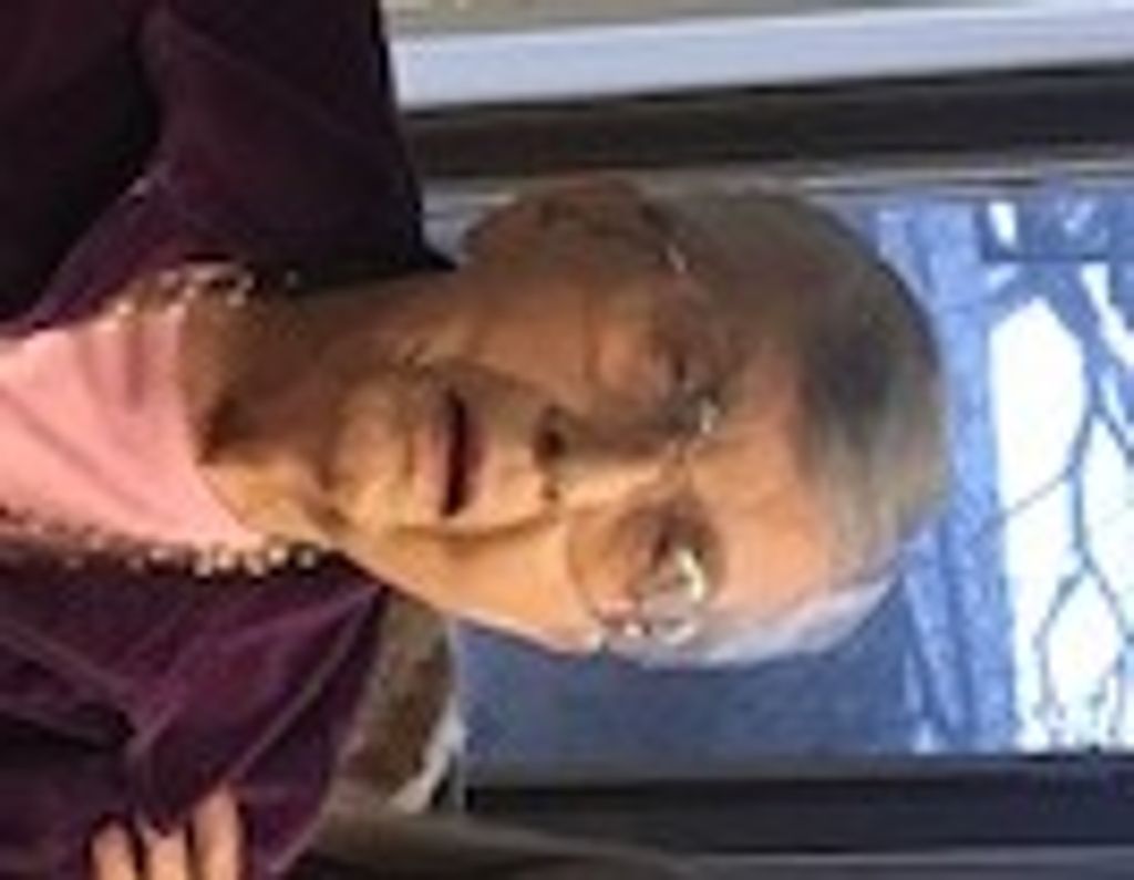 Anita Lee Palmquist