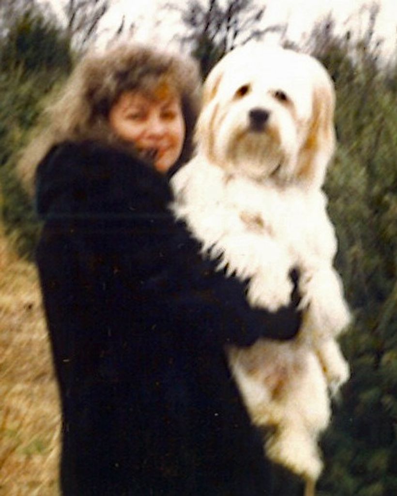 Louise Sutch
