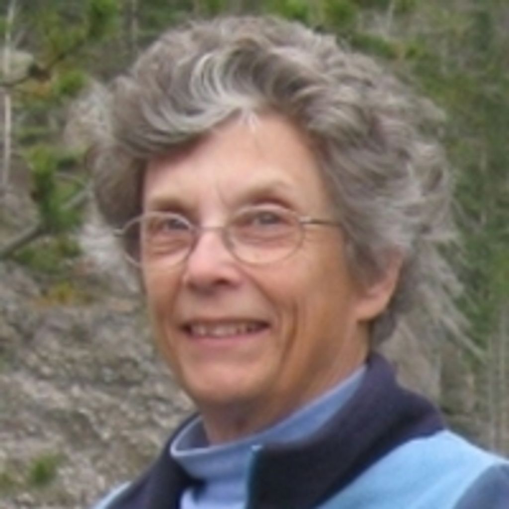 Sally Ann Cerny Profile Photo