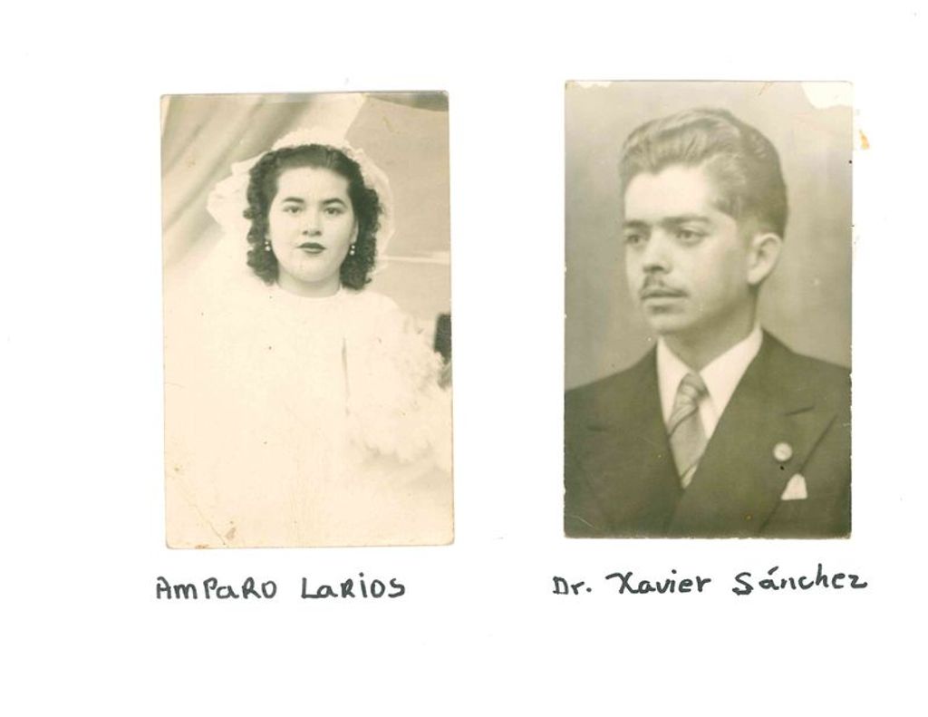 Amparo P. Larios
