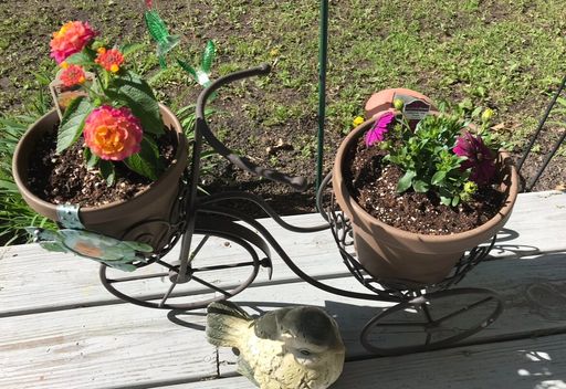 Sharon L. Bruck photo gallery thumbnail 55 of 170