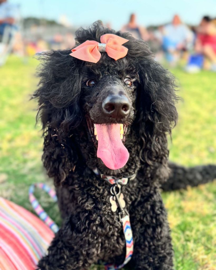 Darcy Jones Profile Photo
