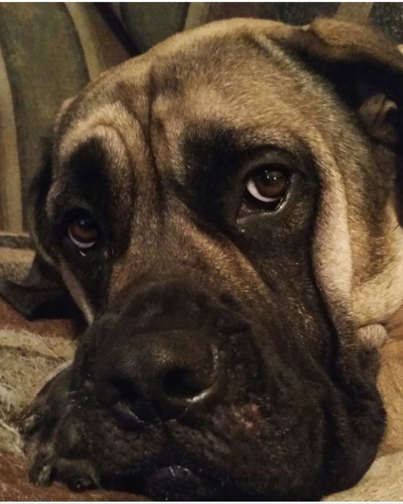Ruby