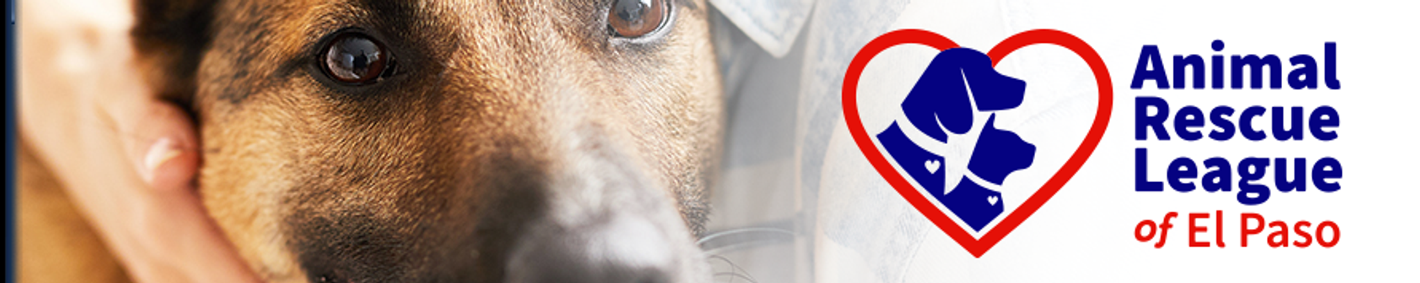 Cover for Adela Gonzalez's Obituary