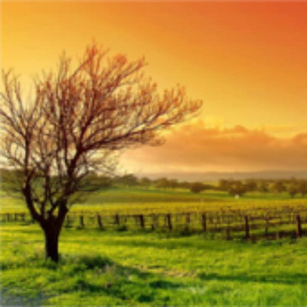 Kenneth Lamar Skelton