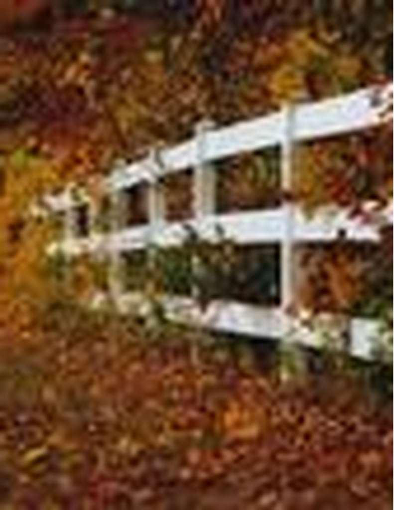 Robert Leslie English