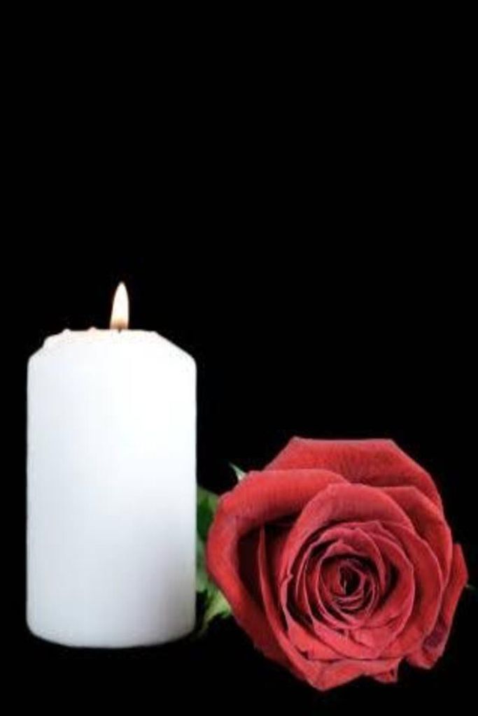 Judith Grasser Profile Photo