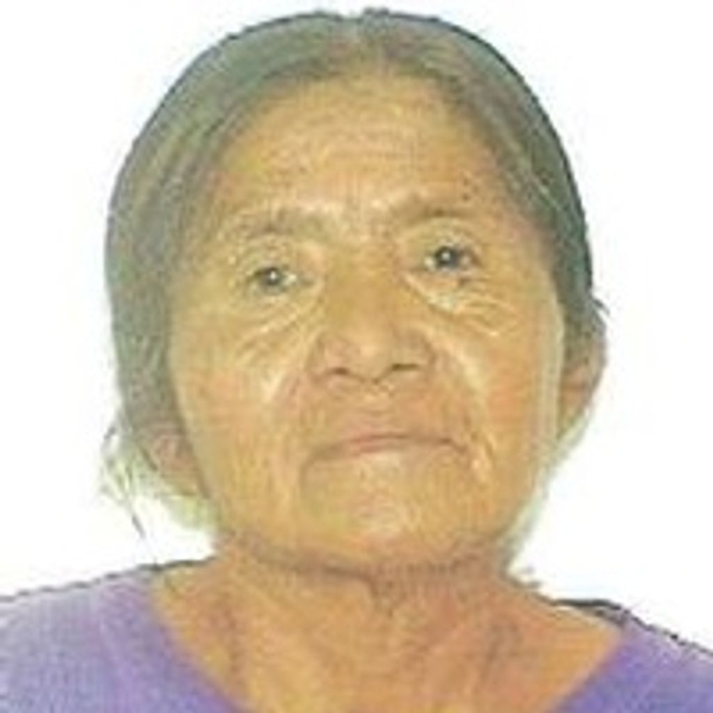 Venda Lou Palmer