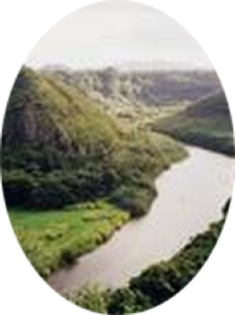 George Davison Gustin Sr.