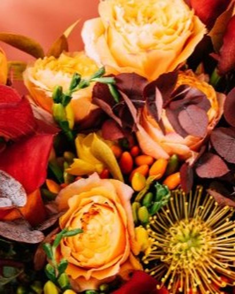 Debbie Davis Profile Photo