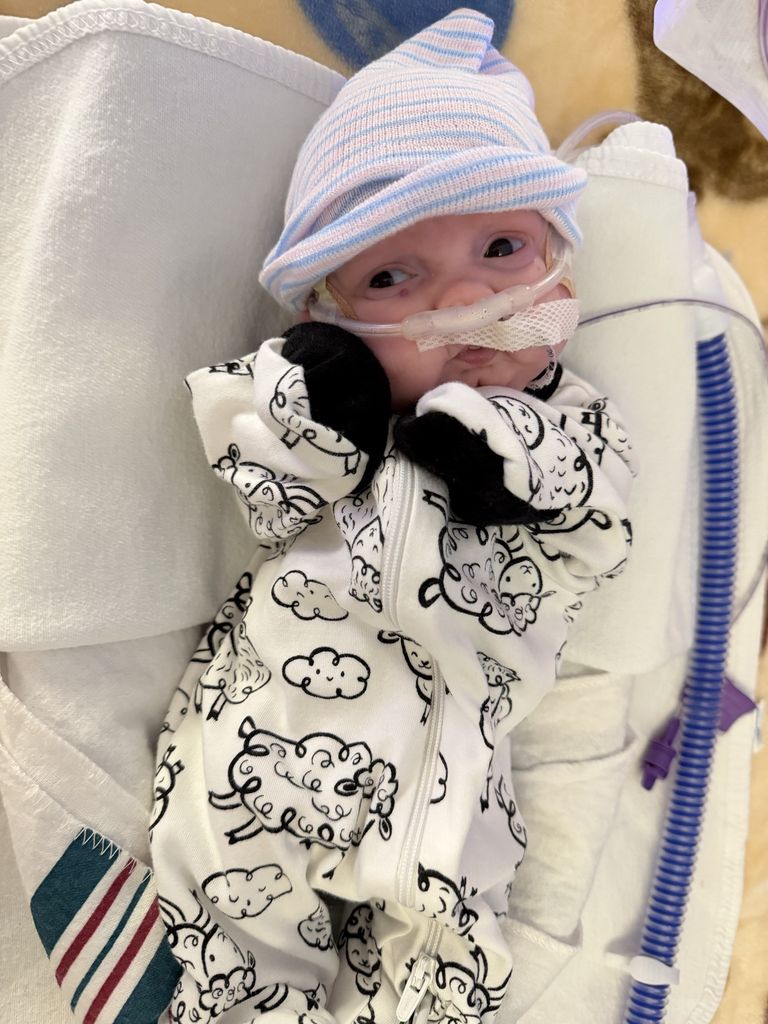 Axel Lynn Jones Profile Photo