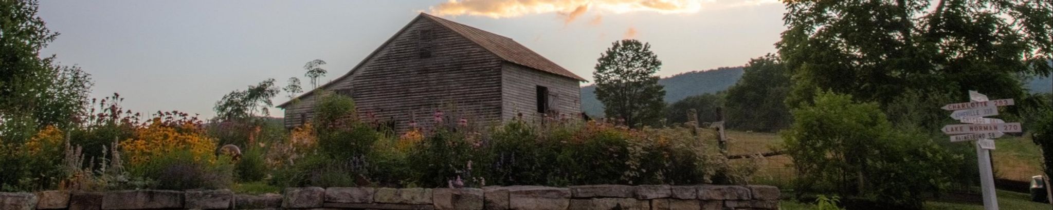 Cover photo for Mary Anne Bedwell's Obituary