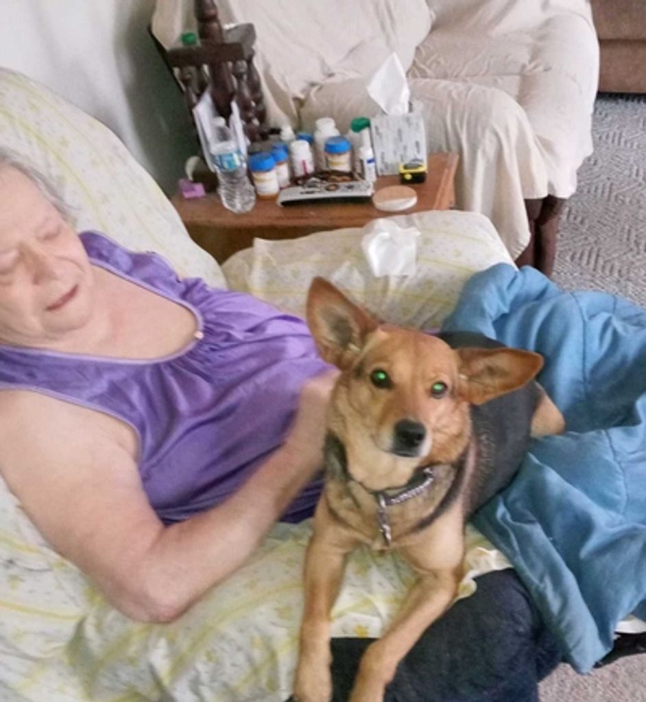 Marjorie Ruth Lauderdale Profile Photo