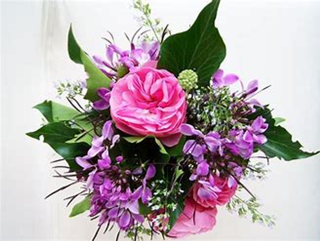 Shirley Ann Crawford Profile Photo