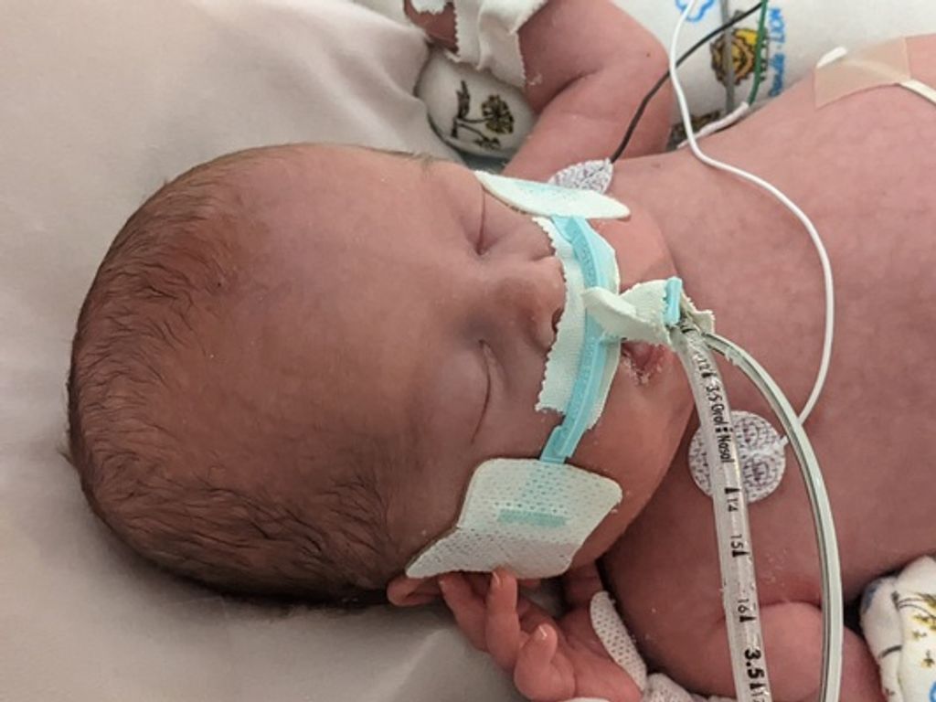 Damien Bruce Farber Profile Photo