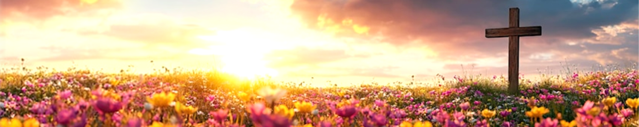 Cover photo for Rev. Mary Ellen Jones's Obituary