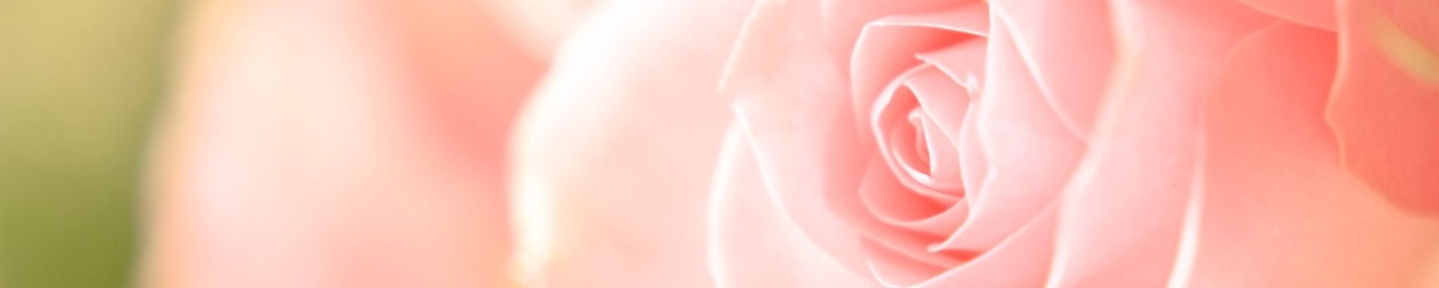 Cover for Linda Bosquez's Obituary