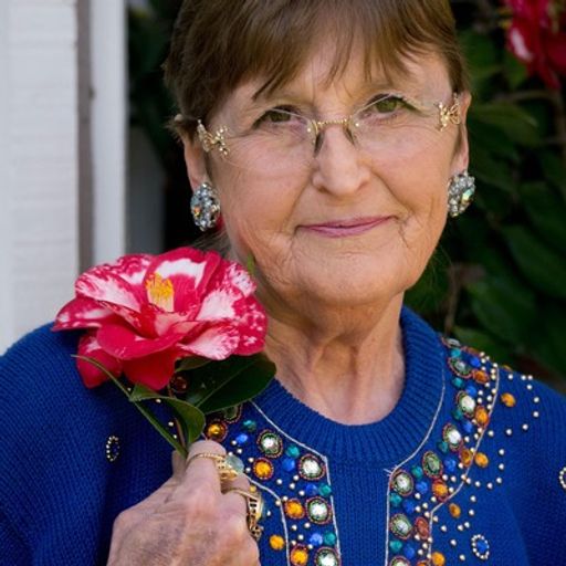 Donna Winters Profile Photo