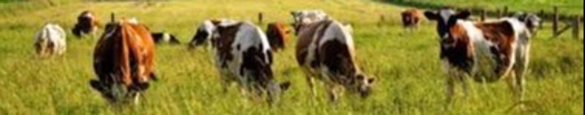 Cover for Roy Kujak's Obituary