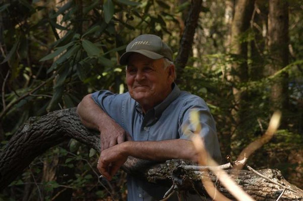 Kay Koger Profile Photo