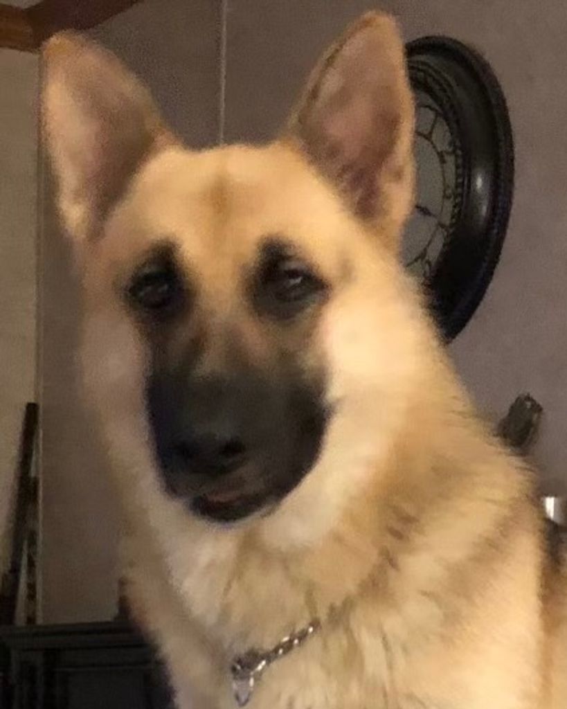 Buddy Kimsey Profile Photo
